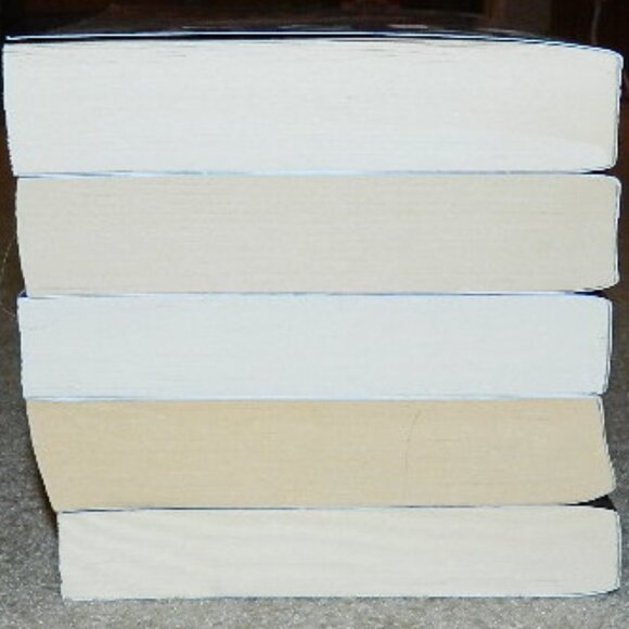 Louise Penny Lot of 5 Trade Paperback Books Bundle - Picture 6 of 7